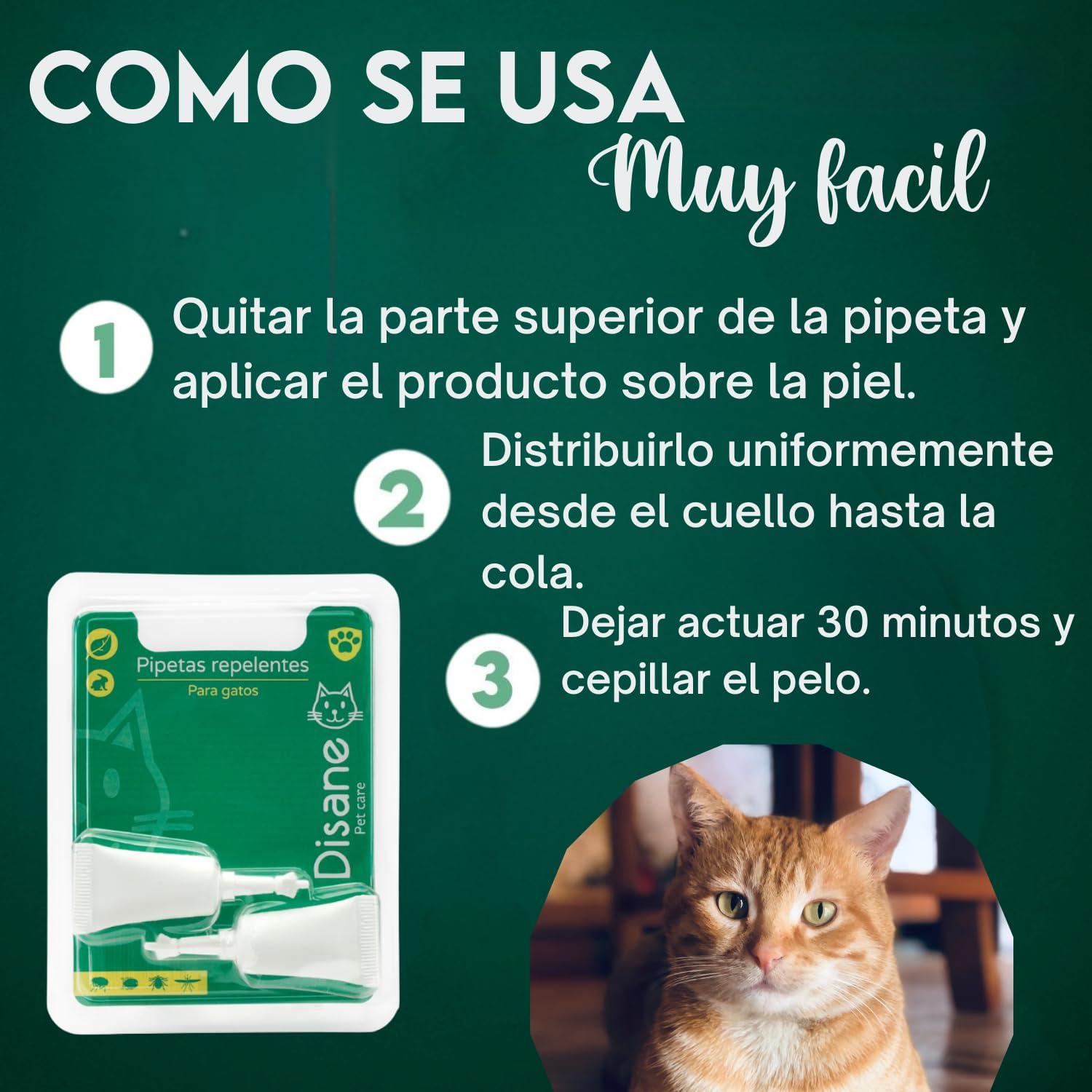 DISANE Pipetas Antiparasitarias para Gatos 100% Naturales | 2 Uds | 2 Meses de Protección contra Insectos y Parásitos: Pulgas, Garrapatas y Mosquitos | Antipulgas Sin Toxicidad para el Gato