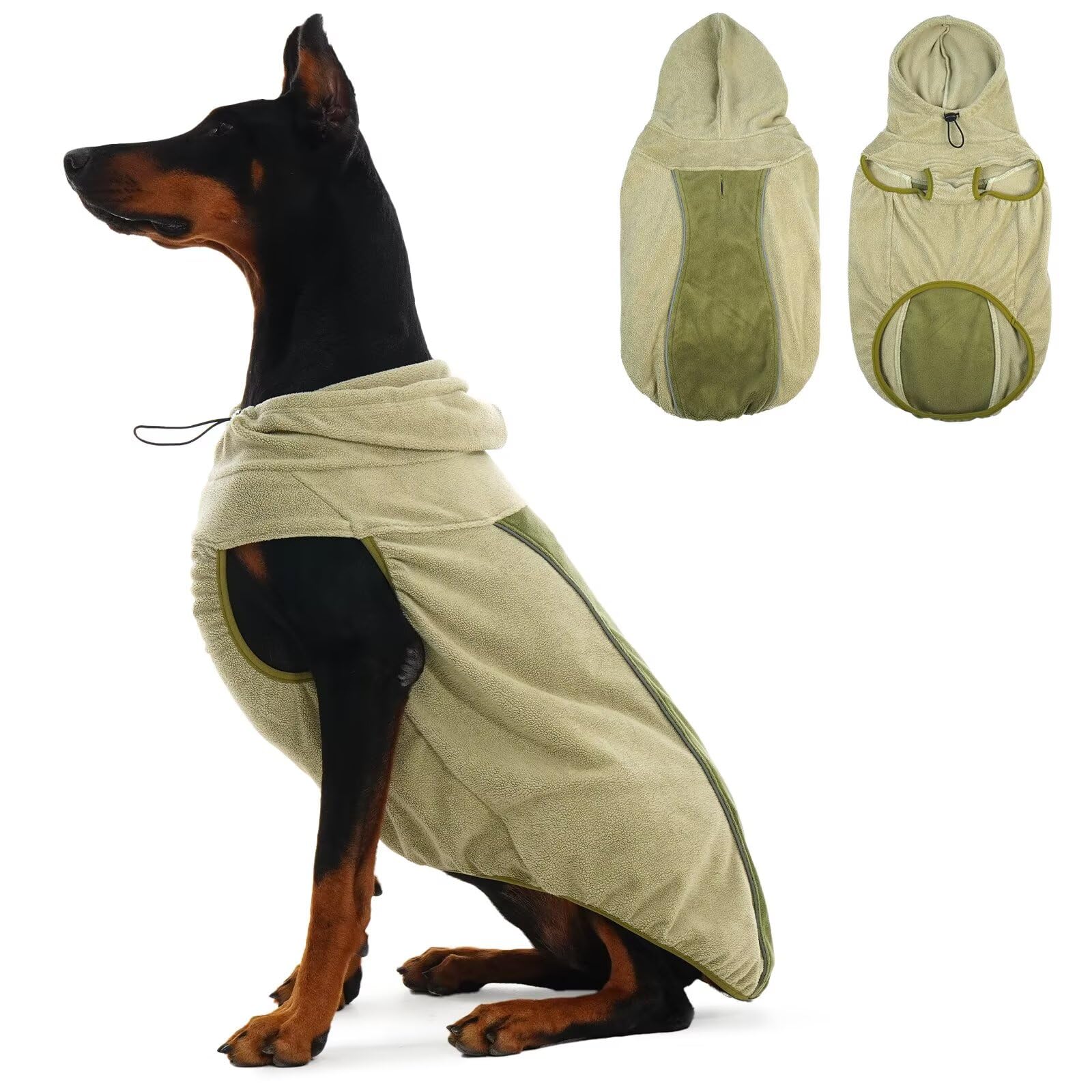 Manteau d'hiver pour chien : protégez votre animal du vent