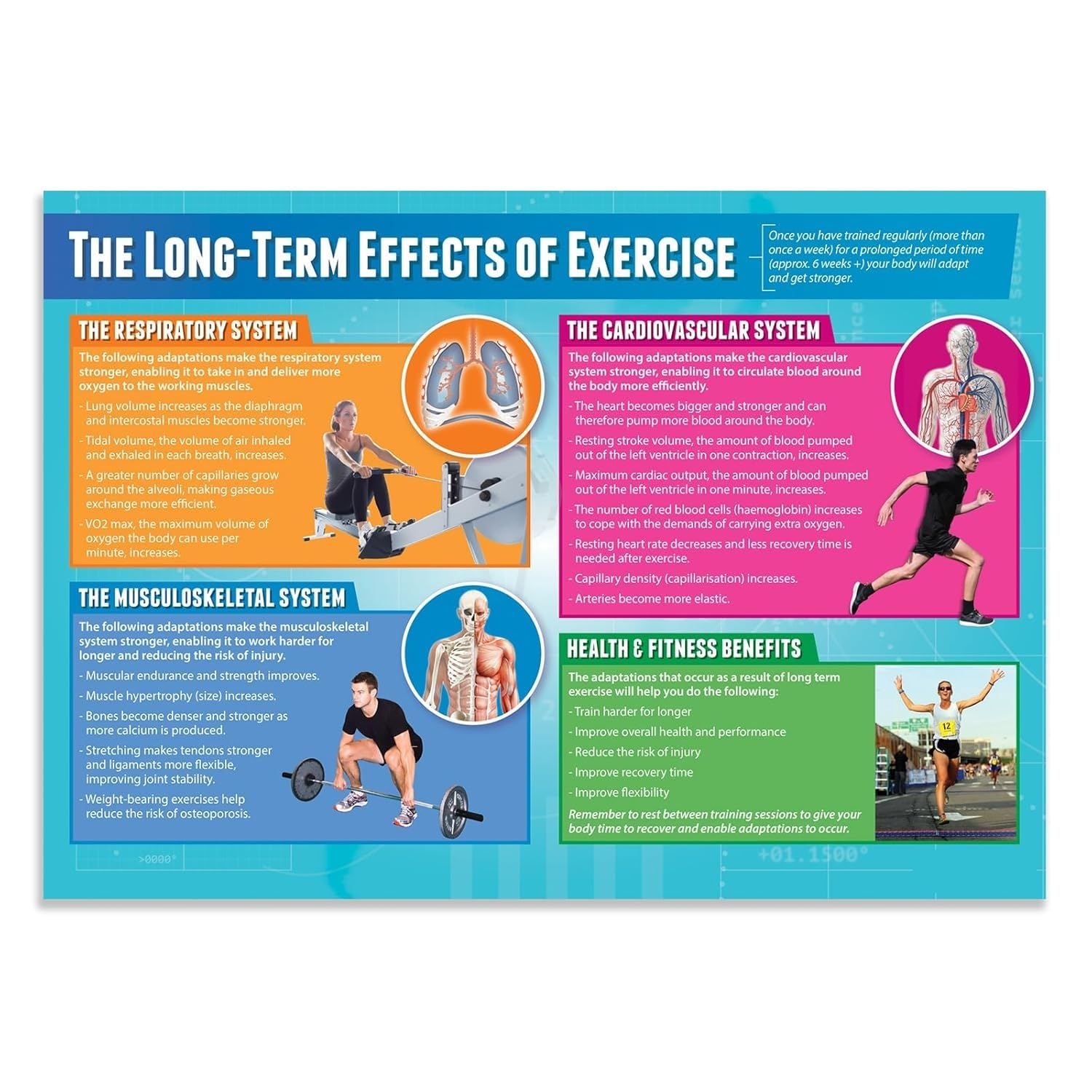 MDBJTCYZN Exercise Benefits Poster Long Term Effects of Physical Activity Motivational Health Education Classroom Decor(Framed,12x18inch(30x45cm))