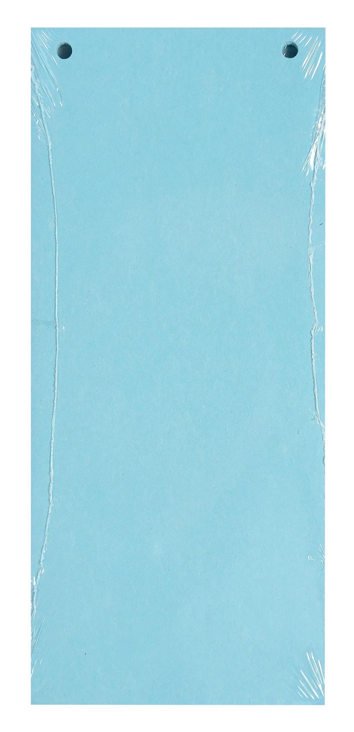Exacompta - Cod. 13415B - Confezione da 12 pacchetti da 100 fogli divisori orizzontali a tinta unita e perforati Forever - divisori per raccoglitori o raccoglitori a leva - 105x240 mm - Azzurro