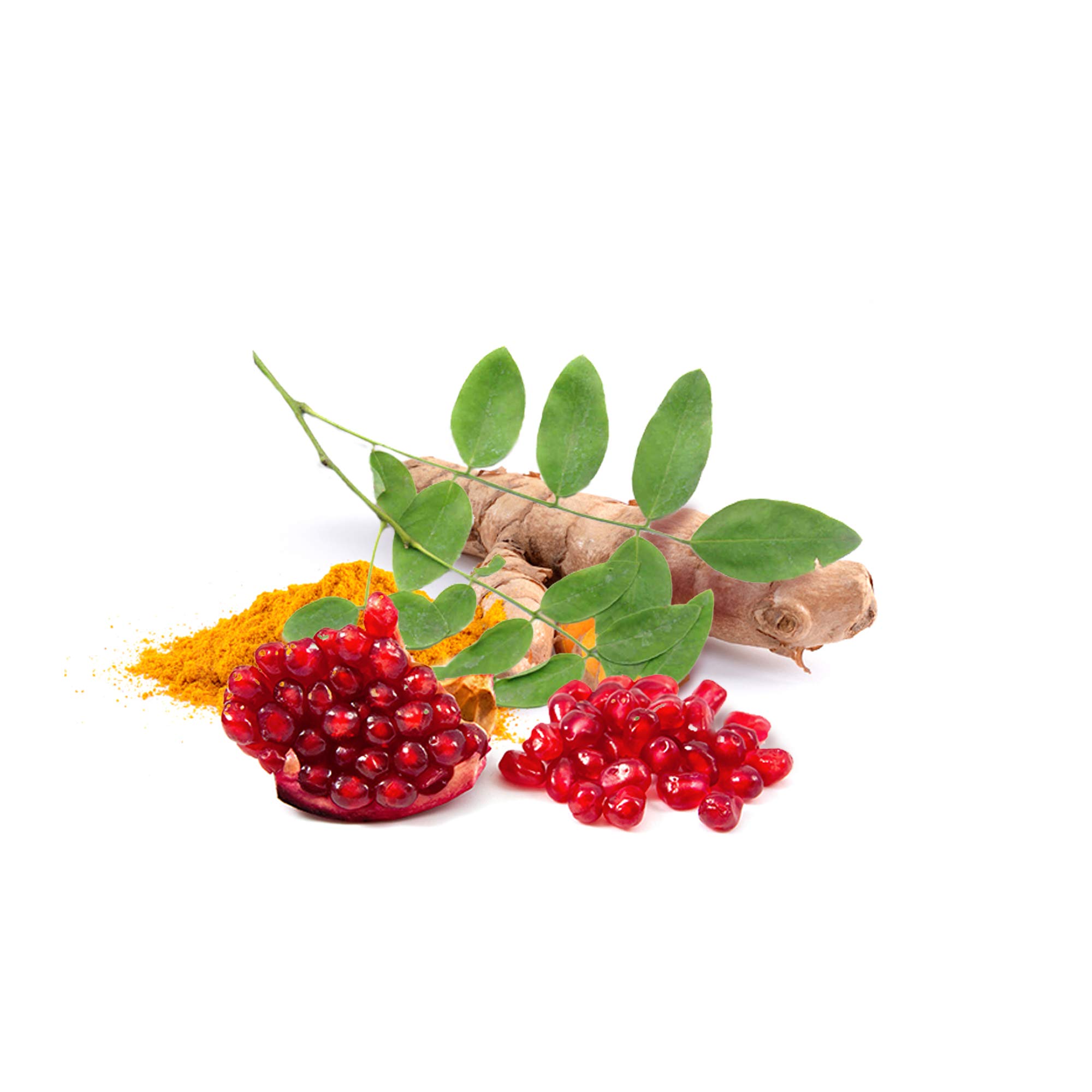 WPLANTS * PACK 3+1 GRATUIT * 317.5 mg / 240 gélules * Articulations (inflammation), Cardiovasculaire, Cerveau, Digestion * Garantie Satisfait ou Rembours * Fabriqué en France