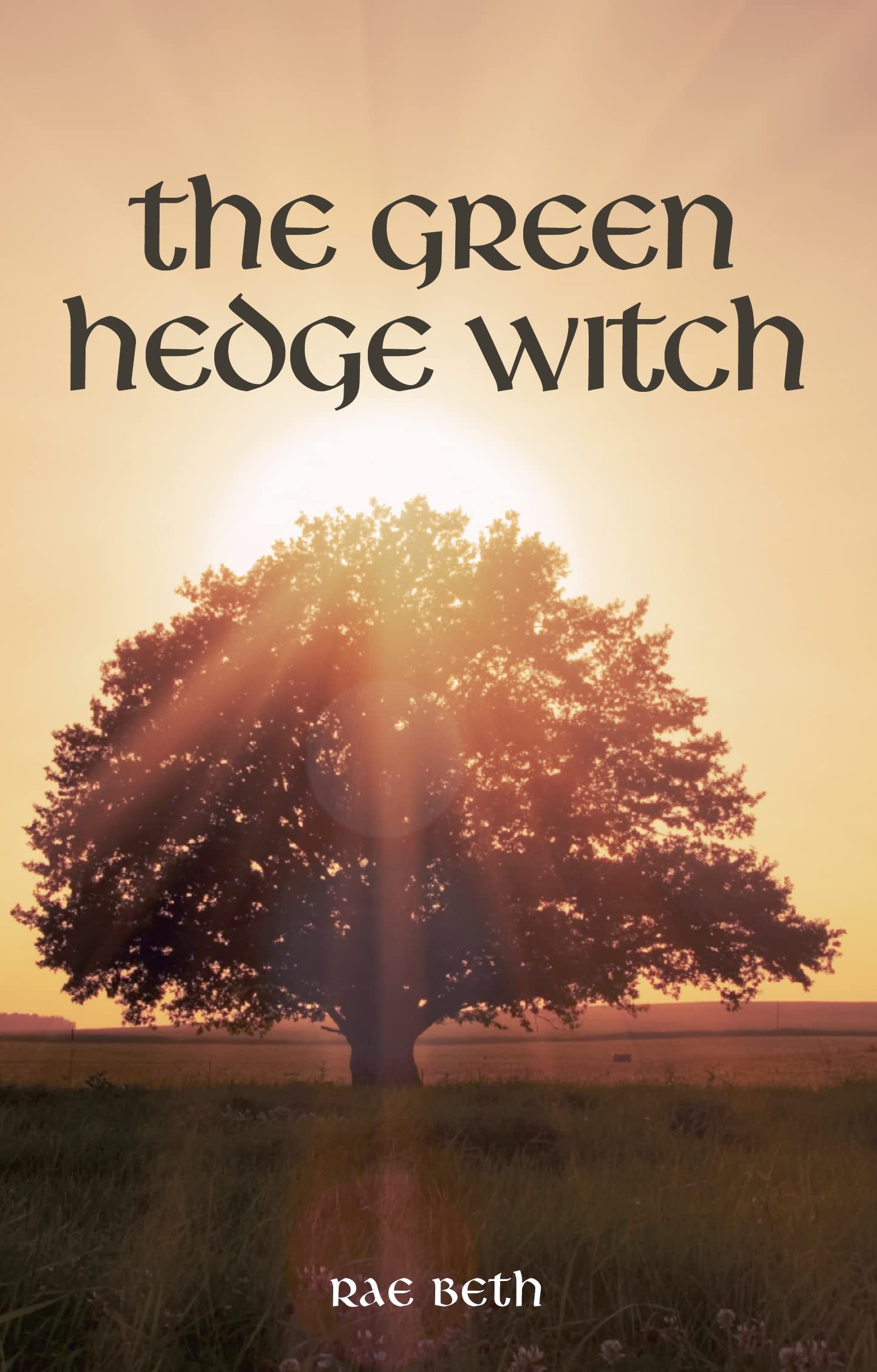 The Green Hedge Witch: 2nd Edition-Rae Beth