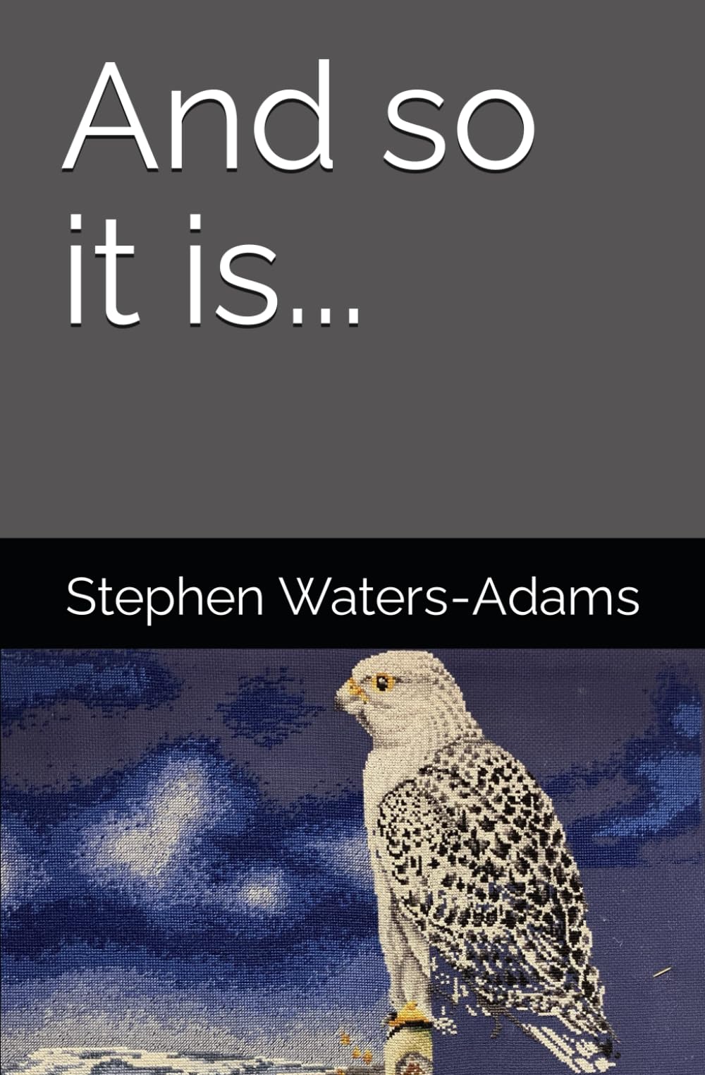 And so it is...: A search for equanimity and understanding