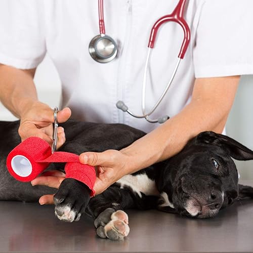 Vista 27 de TOBWOLF 12 vendajes autoadhesivos, 4 pulgadas x 5 yardas, vendaje elástico cohesivo y cohesivo rollo de gasa atlética, cinta de vendaje no tejida