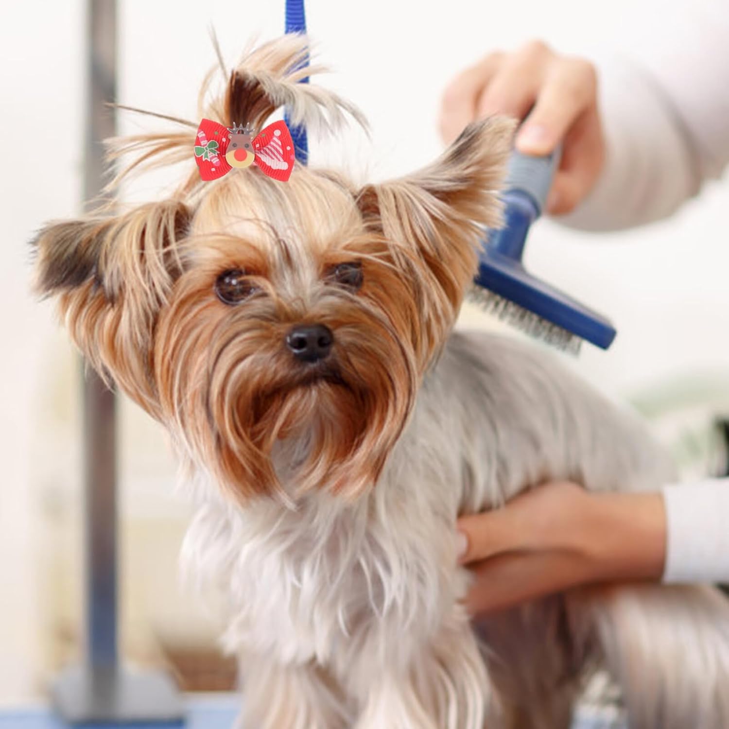 Balacoo 30 Pieces Christmas Pet Hair Bows with Elastic Hair Bow Hair Band Christmas Ring Hair Accessories for Dogs Cats Kids 10