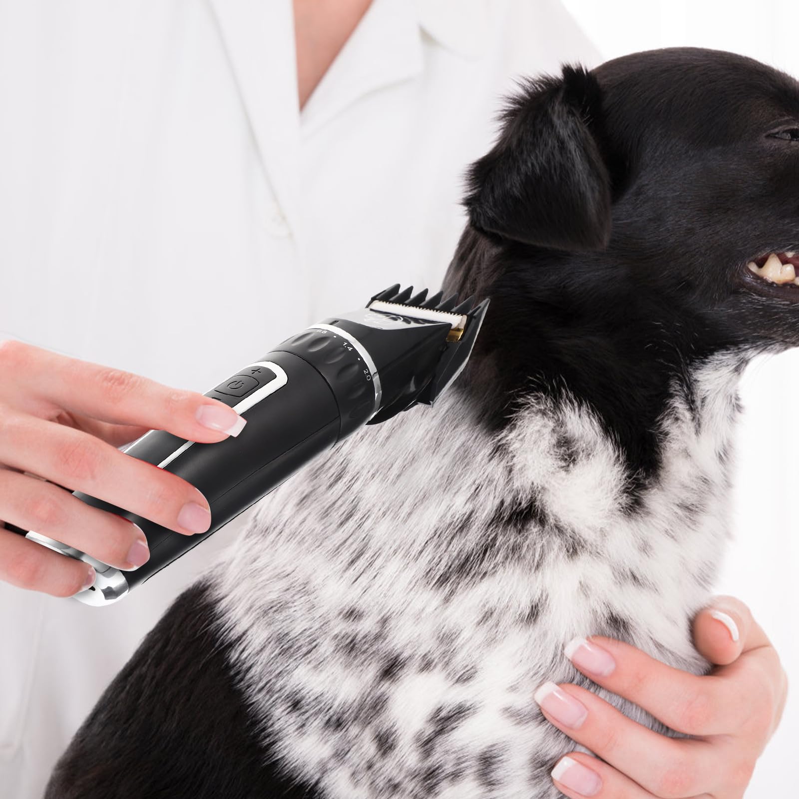 Cortapelos Eléctrico para Perros y Gatos Batería de 2000mah, Diseño Portátil y Cuchillas de Aleación de Titanio para Recorte Fino en Áreas Pequeñas