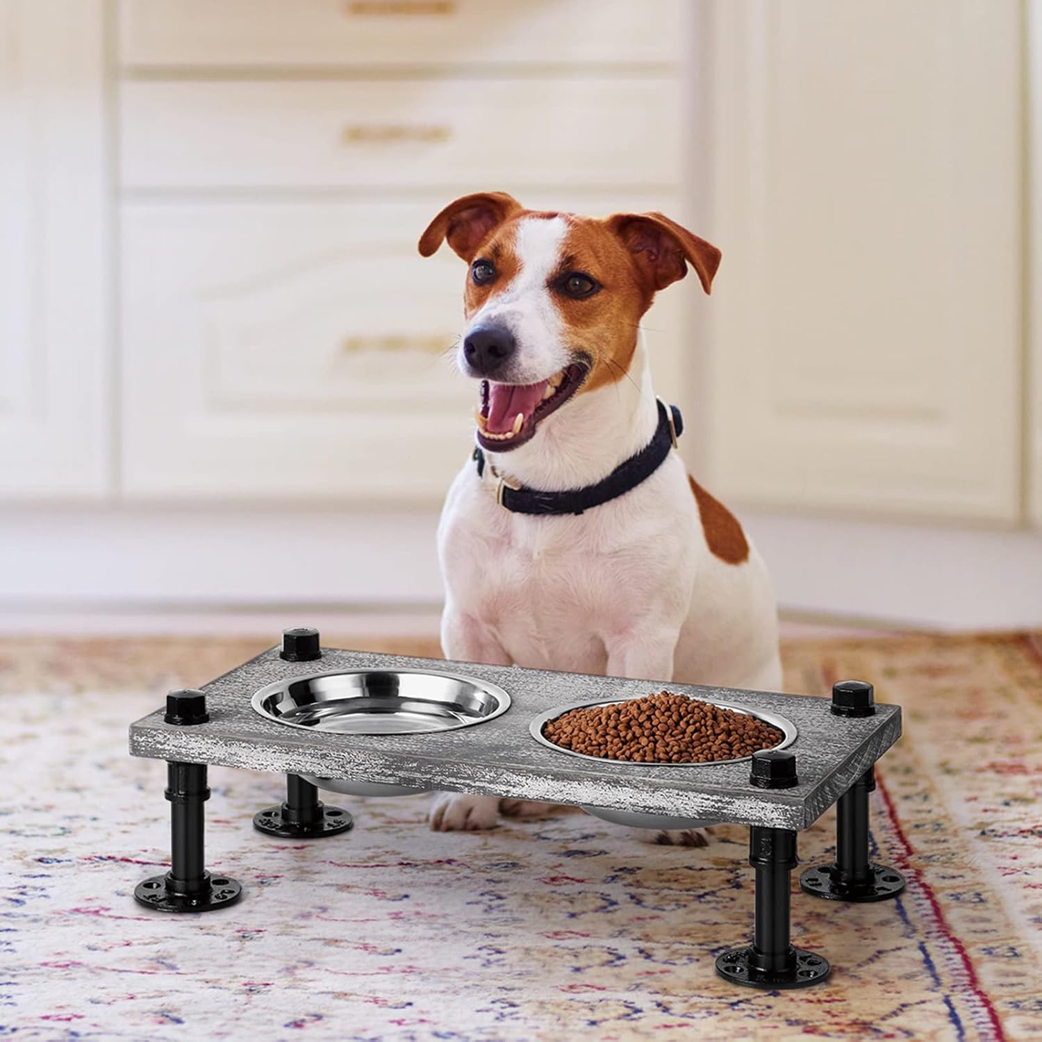 Elevated Dog Bowls Dog Bowl Stand Dog Food Bowl Stainless Steel Dog Food and Water Bowl for Small Medium Dog
