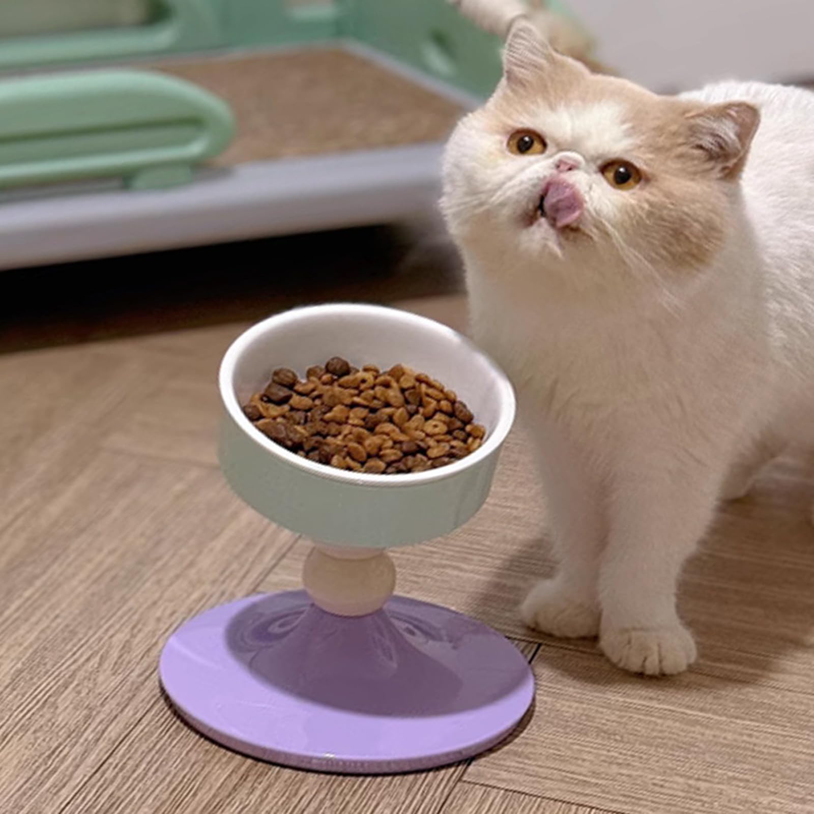 Stazione alimentazione per gatti antivomito Ciotola inclinata con altezza regolazione Ciotola per acqua antiscivolo per alimenti per cani Ciotole per cani rialzate rialzate
