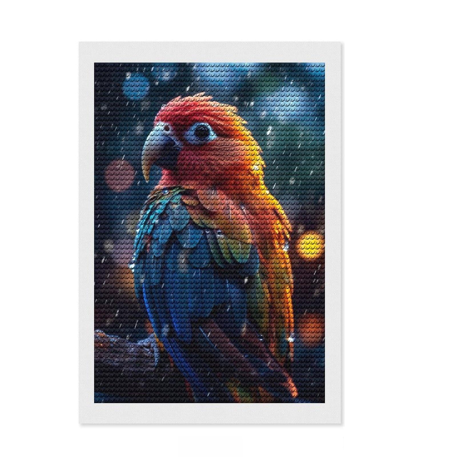 Junmoney Epic Rainy Lovebird Diamond Art Kit 8"x12", Simple to Start, with Tool Kit, Boho Decor, Gift Idea, Easy to Enjoy, Printed Canvas