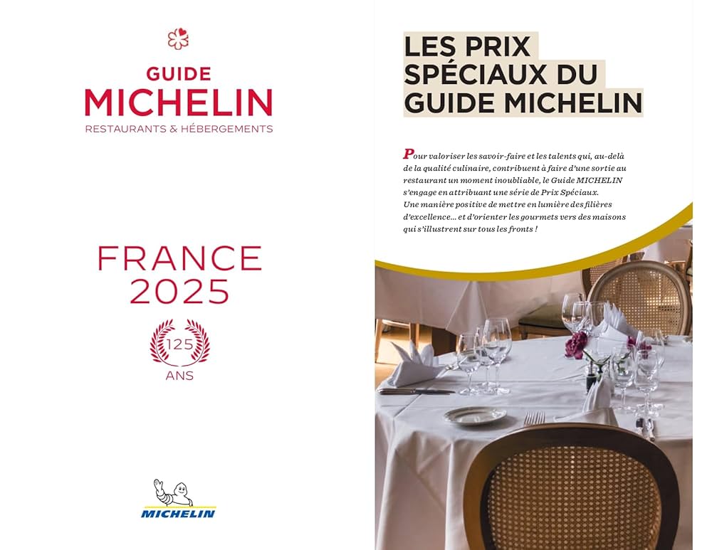 ミシュランガイド フランス まとめ売り 32冊セット ミシュランガイド フランス まとめ売り 32冊セット ミシュラン