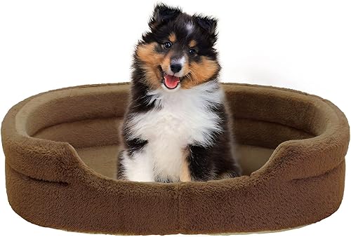 小型犬の犬種別・フード選びのポイント