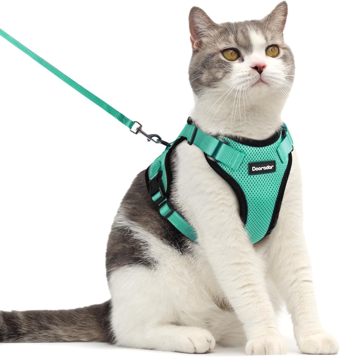 Harnais chat anti-fugue pour régler les problèmes de promenade
