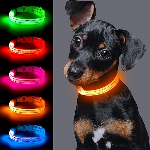 Miniatura 9 de Vizpet Collar LED para perro gato recargable por USB y tamaño XS ajustable, collar de nailon brillante para mascotas de seguridad para gatos y