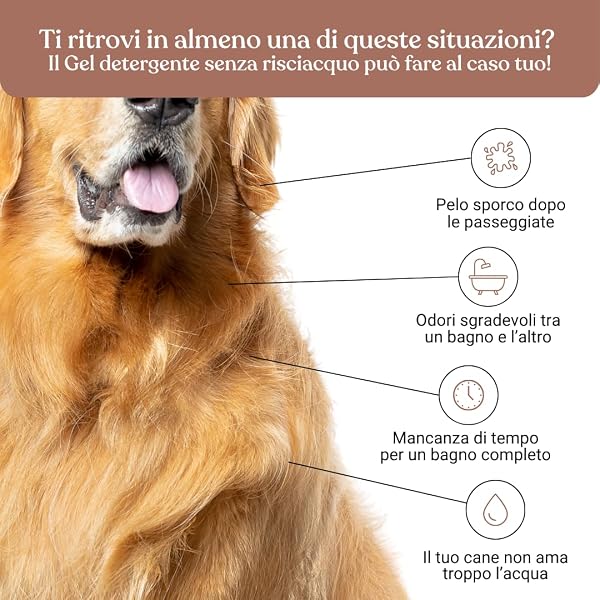 Bau Gel Detergente Senza Risciacquo, Shampoo Secco per Cani, Igienizzante e Idratante - Senza Parabeni e Siliconi, Naturale e Bio con Aloe Vera - Argan, 250 ml - 3