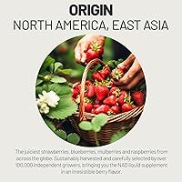 Vista 4 de Suplemento NAD de 1000mg con Resveratrol en Paquetes Líquidos Orgánicos Puros - Suplementos de Ribósido de Nicotinamida con PQQ - Bebida Liposomal