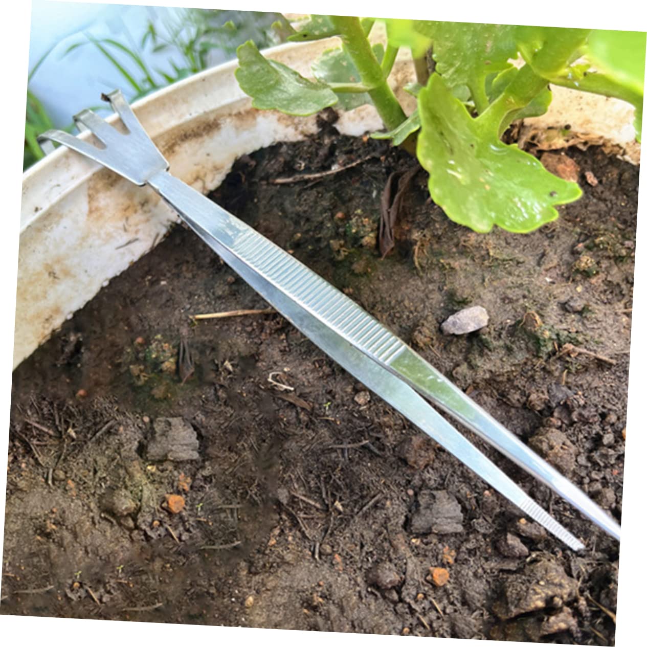 Toddmomy 6pezzi Strumenti Bonsai Inossidabile Pinzette e Rake Multifunzione Per Delle Piante e Mantenimento Del Muschio