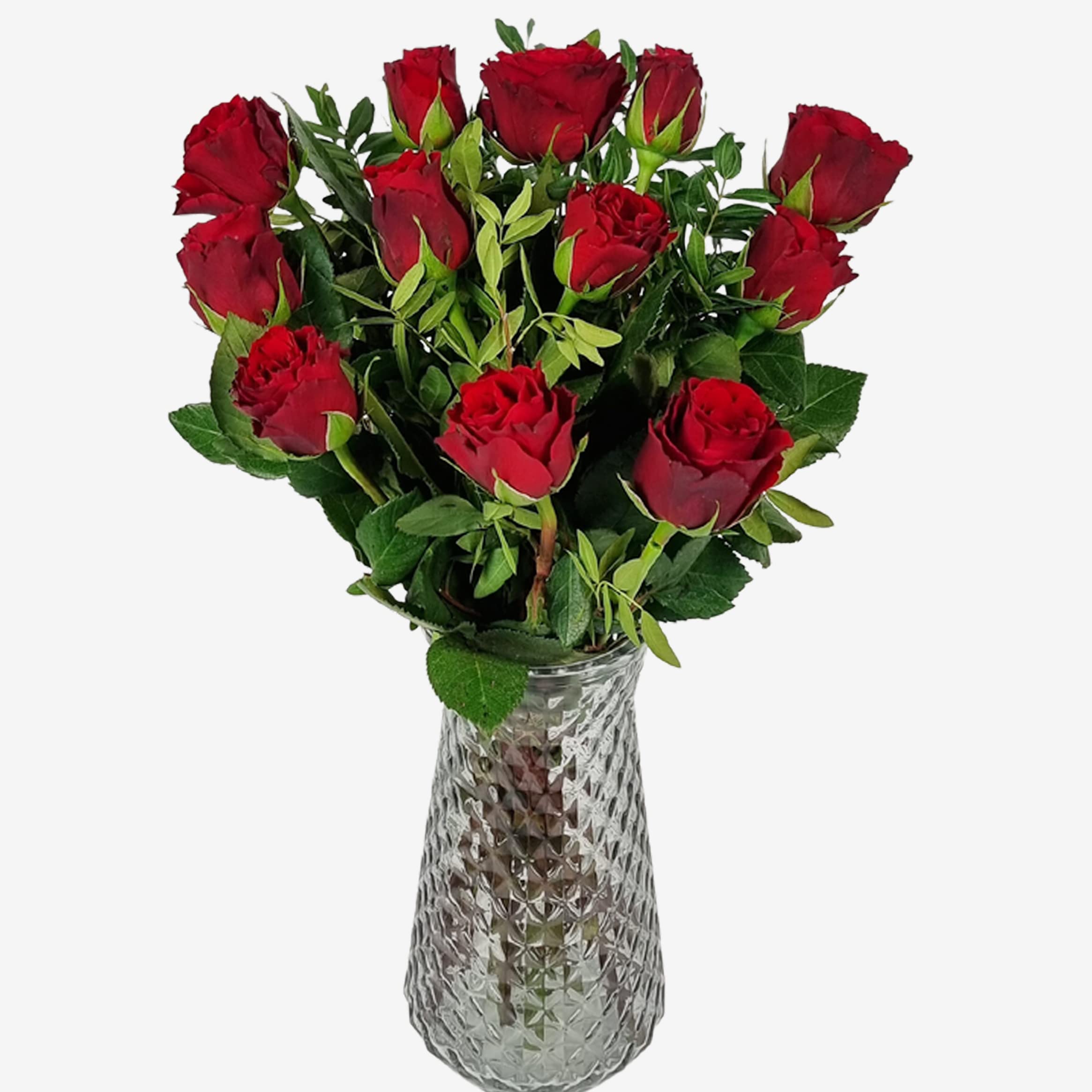 A Dozen Red Roses - Fresh Letterbox Flowers - Romantic Gift for Valentine's, Mother's Day, Anniversaries