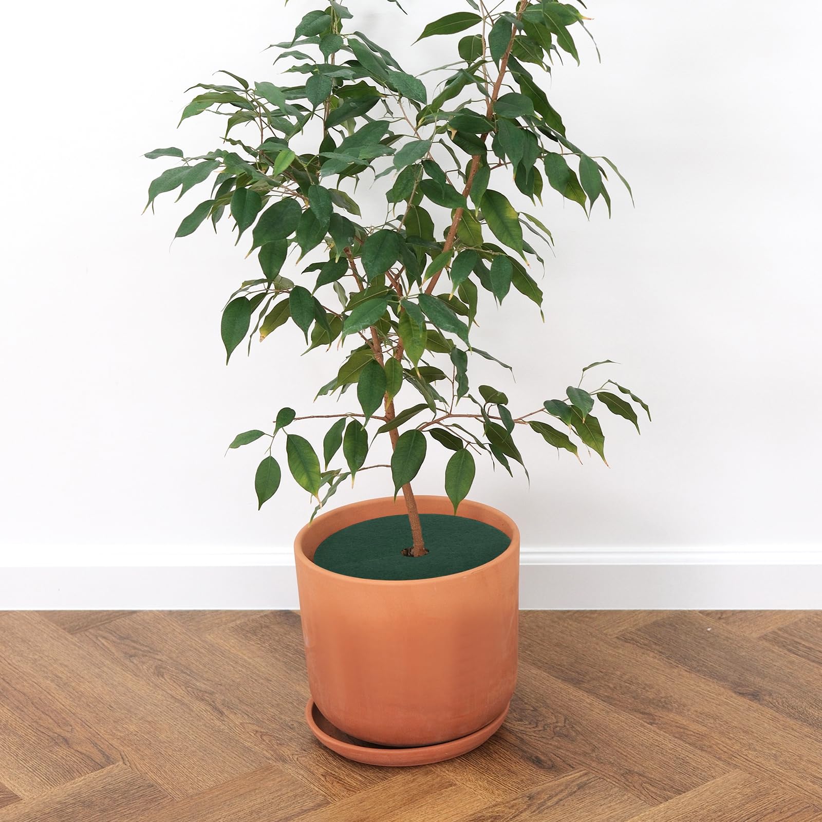 Tapis de Protection pour Arbres Anti-Herbes Diamètre 32cm 10 Pièces