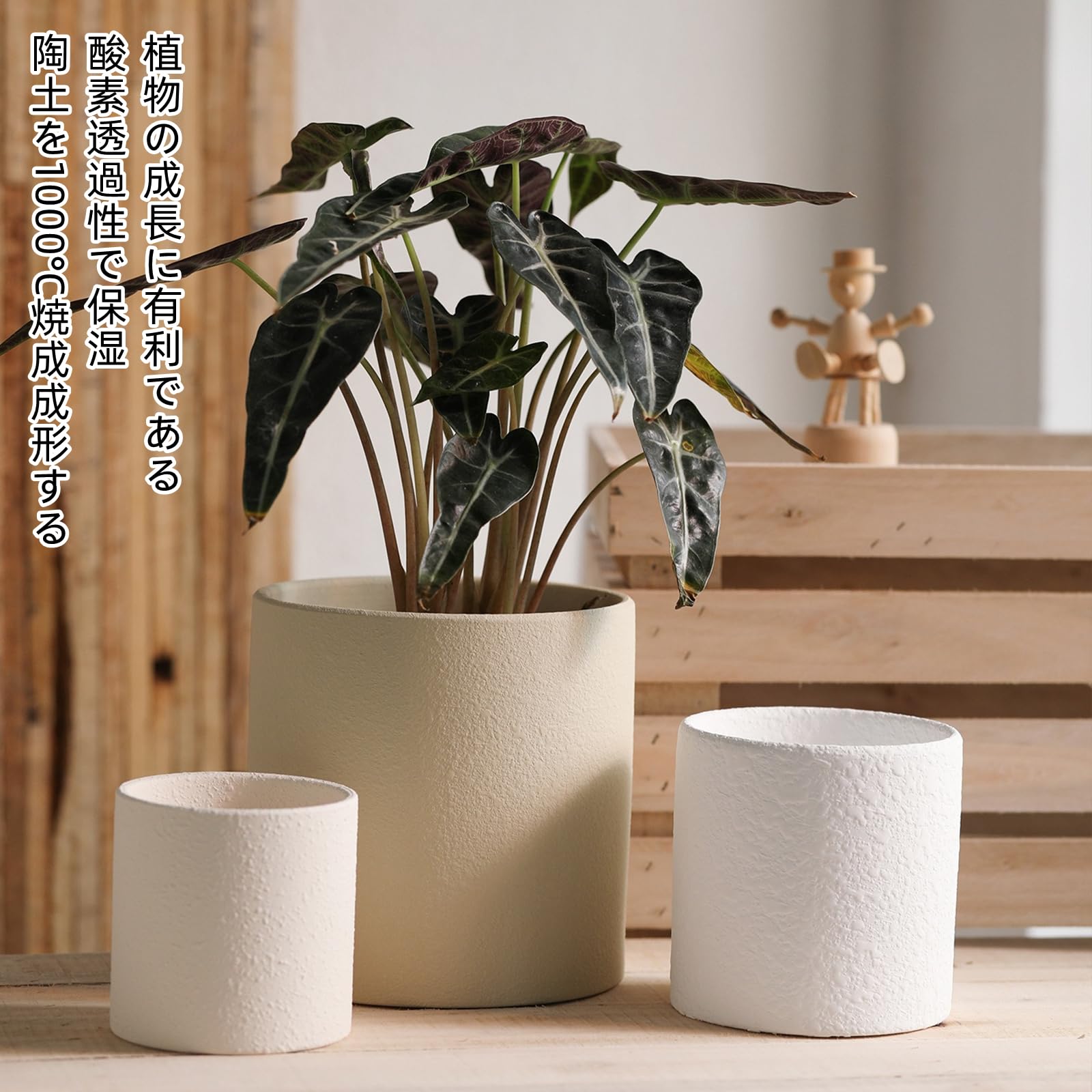 Amazon.co.jp: 陶器鉢 プランター 素焼き植木鉢 鉢 植木鉢 丸型 鉢
