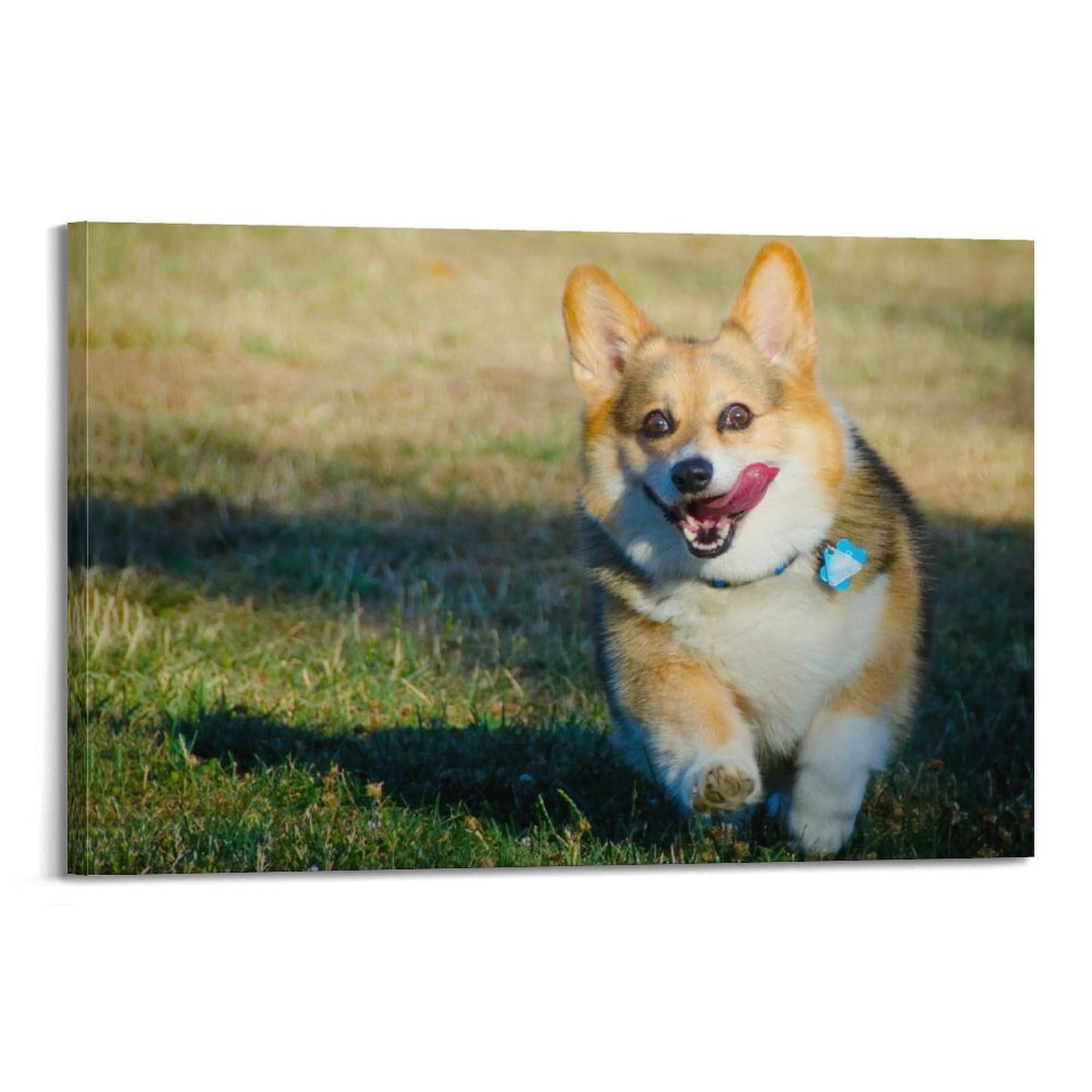 JTLFXY Animal Poster Swedish Vallhund Poster Decorative Painting Canvas Wall Posters And Art Picture Print Modern Family Bedroom Decor Posters 20x30inch(50x75cm)
