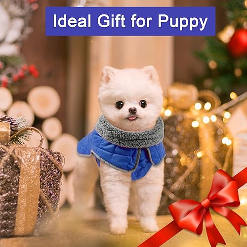 Vista 23 de Fragralley Abrigo de invierno para perro, chaqueta de forro polar reflectante impermeable y resistente al viento con agujero para arnés, chaleco