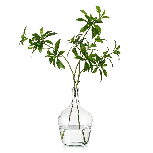 Hewory Large Glass Vase for Decor, 10in Clear Tall Farmhouse