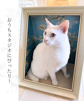 Amazon | [ONEKOSAMA]爪とぎ ダンボールハウス 猫 額縁 絵画風 立体