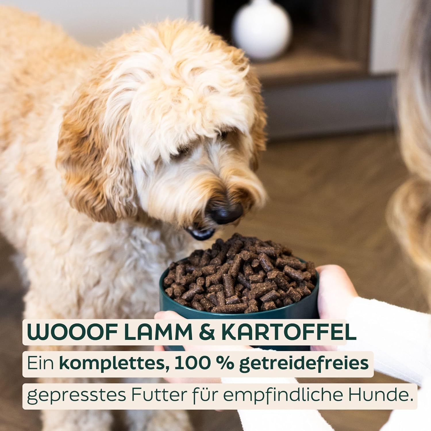 Lamm Kartoffel Hundefutter Trockenfutter 14 kg Hypoallergen Getreidefrei Für Haut & Fell Sanfte Verdauung Empfindlicher Magen Ausgewachsene Hunde Vollwertige Ernährung
