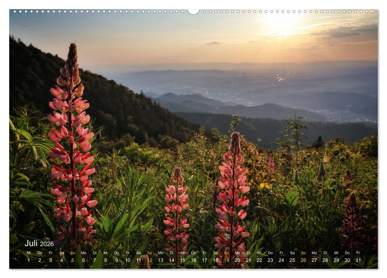 Faszination Schwarzwald (hochwertiger Premium Wandkalender 2026 DIN A2 quer), Kunstdruck in Hochglanz: Sehnsuchtsorte im Schwarzwald neu entdeckt (CALVENDO Orte)