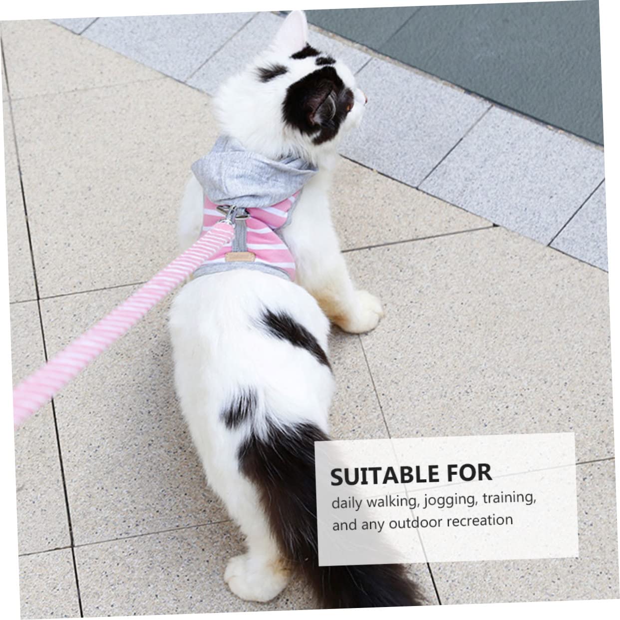 minkissy 2 Pezzi Gilet Anti-tiro Per Animali Domestici Per Esterni in Morbida Rete Per Gatti E Set Di Guinzaglio