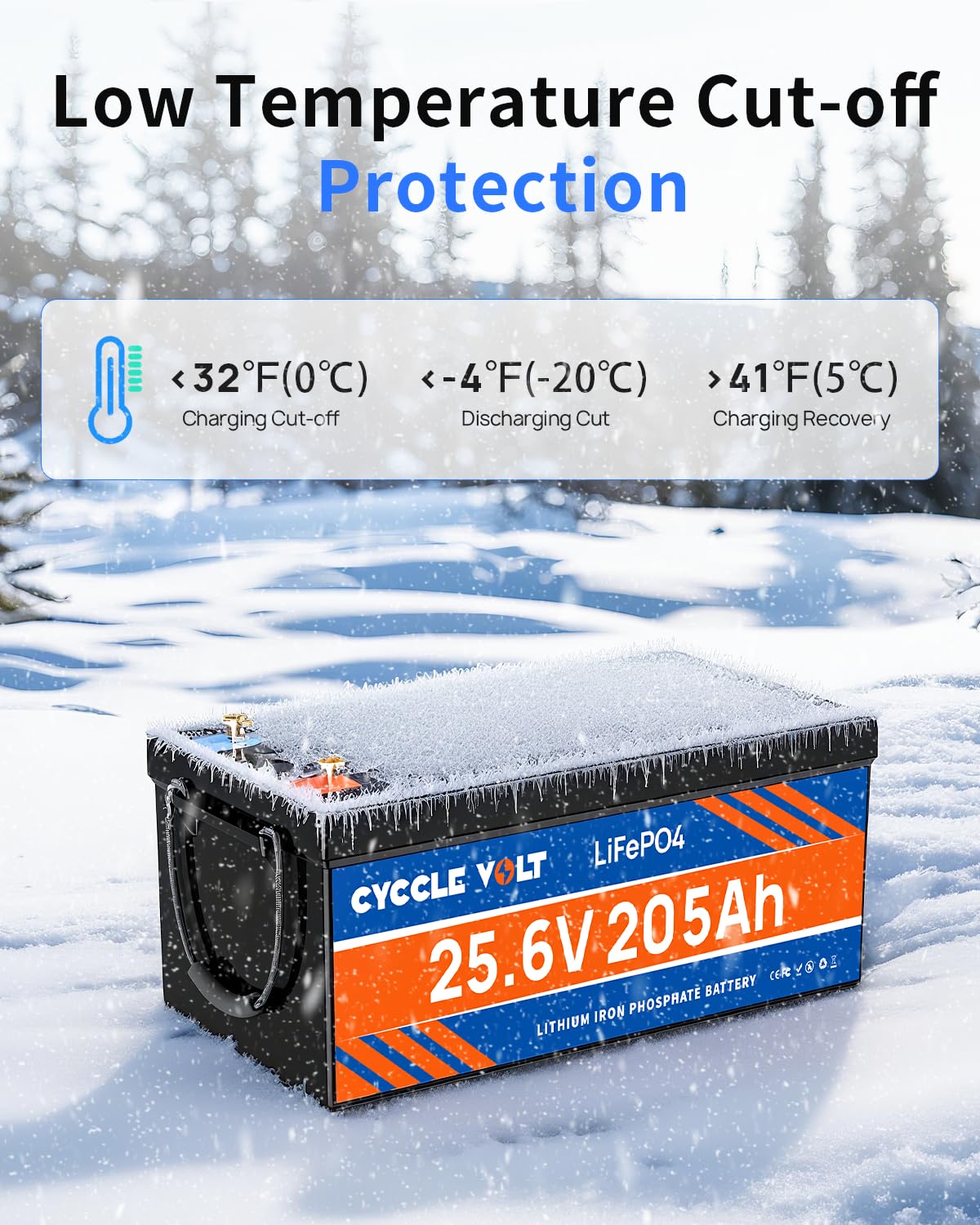 Batteria LiFePO4 24V 200Ah con 200A Bluetooth BMS, Protezione dalle Bassa Temperatura, 5120Wh di Energia, 8000+ Ciclo Profondo, Batteria al Litio per Motori Trolling da 24V, Camper, Sistema Solare