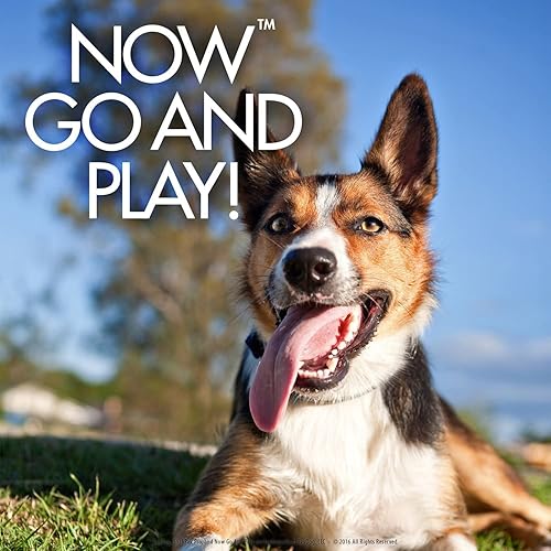 Miniatura 6 de EzyDog SnakPak Pro - Bolsa de entrenamiento impermeable para perros con dispensador de bolsa de recogida y cinturón