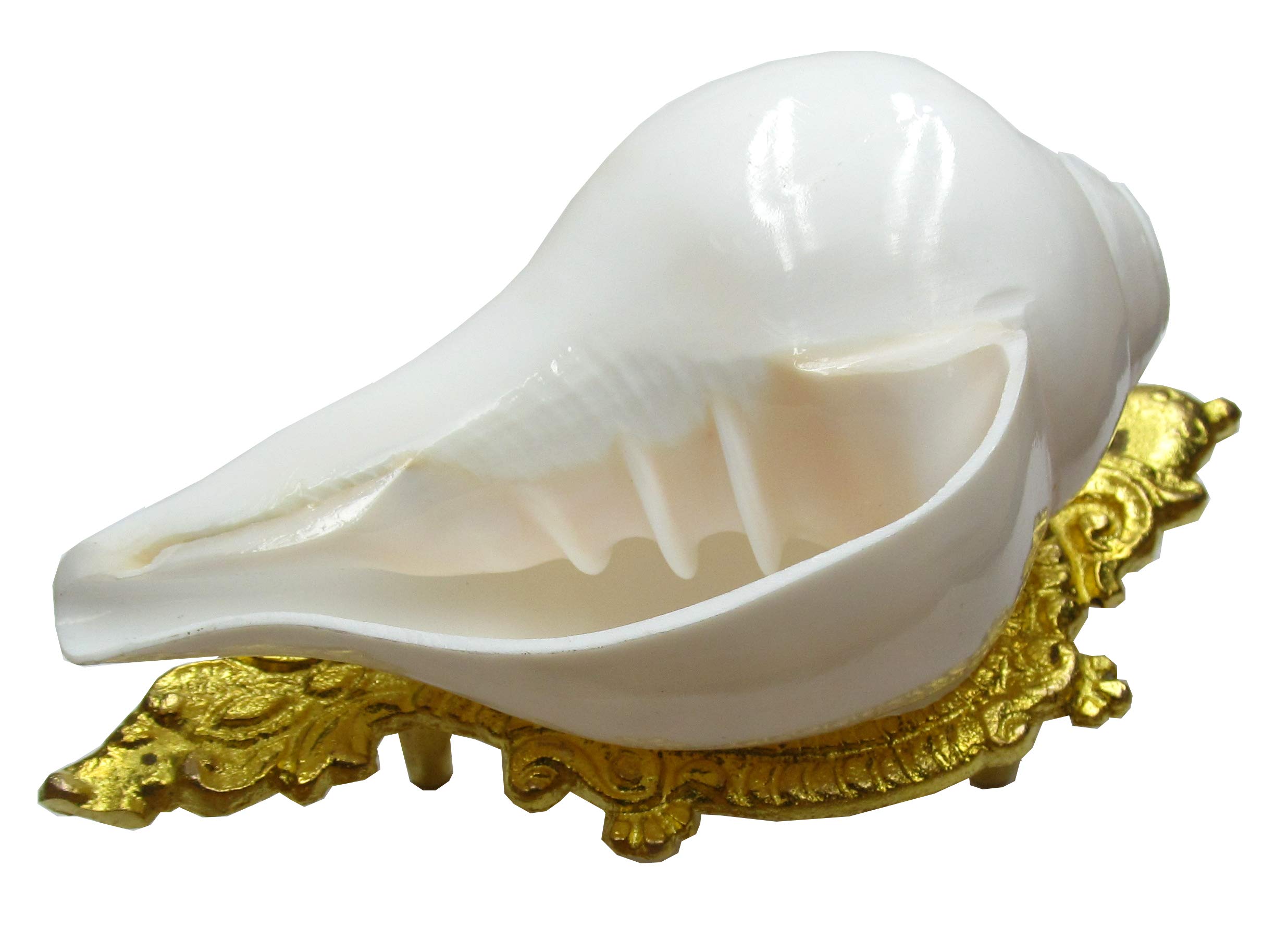 Centorganic Natural Blowing Shankh for Pooja Original with Bronze Shankh Stand - 5 Inch