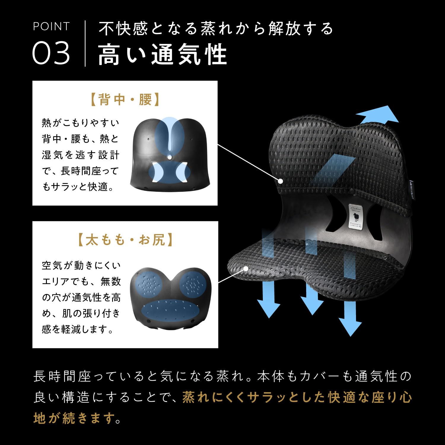 ヒツジのいらない枕 おしり先生 姿勢サポートチェア 耐荷重100kg ブラック Amazon.co.jp: ヒツジのいらない枕 おしり先生 Produced by ヒツジの