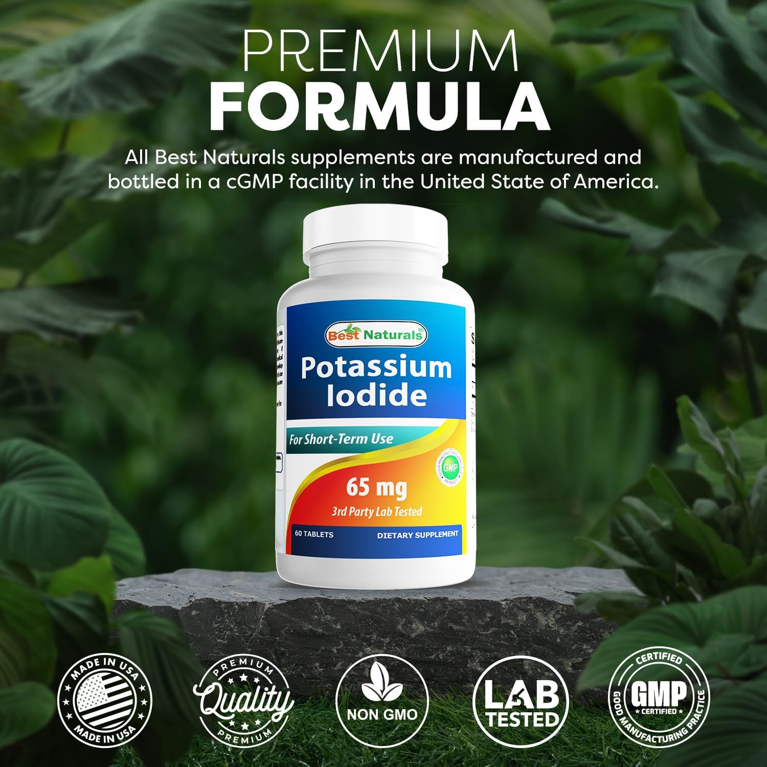 Best Naturals Potassium Iodide 65 mg - Dietary Supplement, 60 Tablets (60 Count (Pack of 1)) (12)