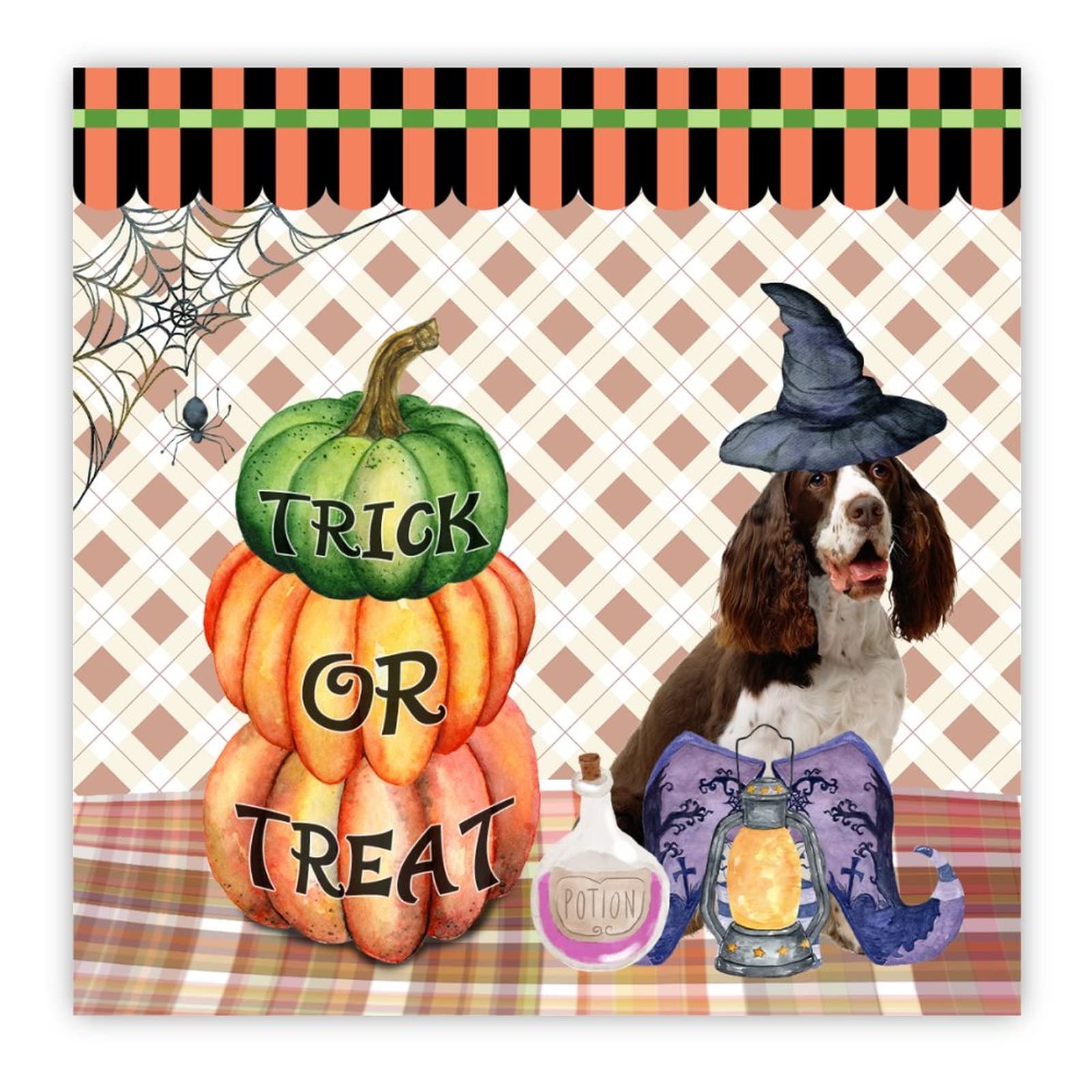 Panneau citrouille en bois d'Halloween avec teckel déco 40cm