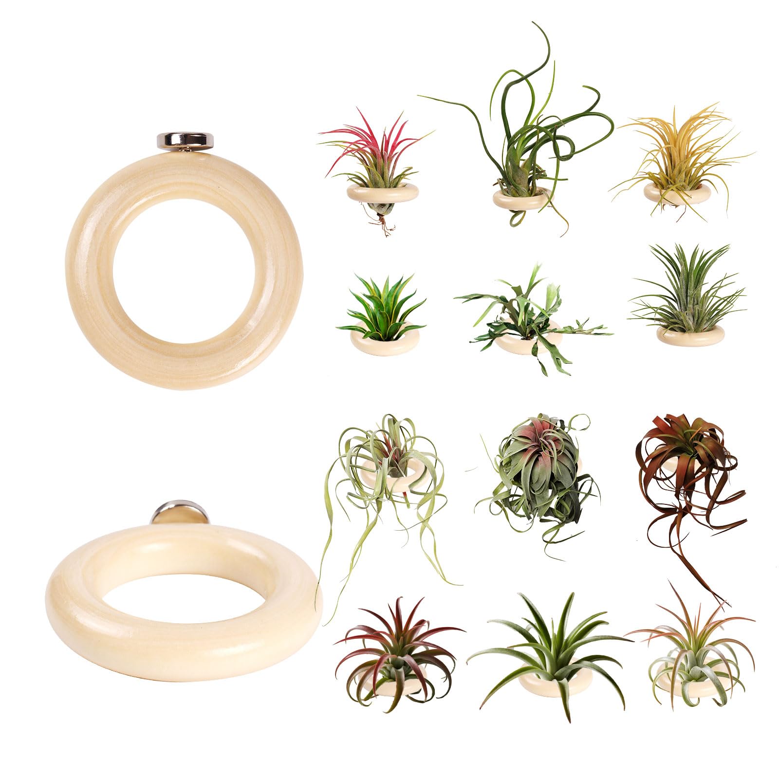 Support en bois pour plantes aériennes mural pour décorer votre bureau