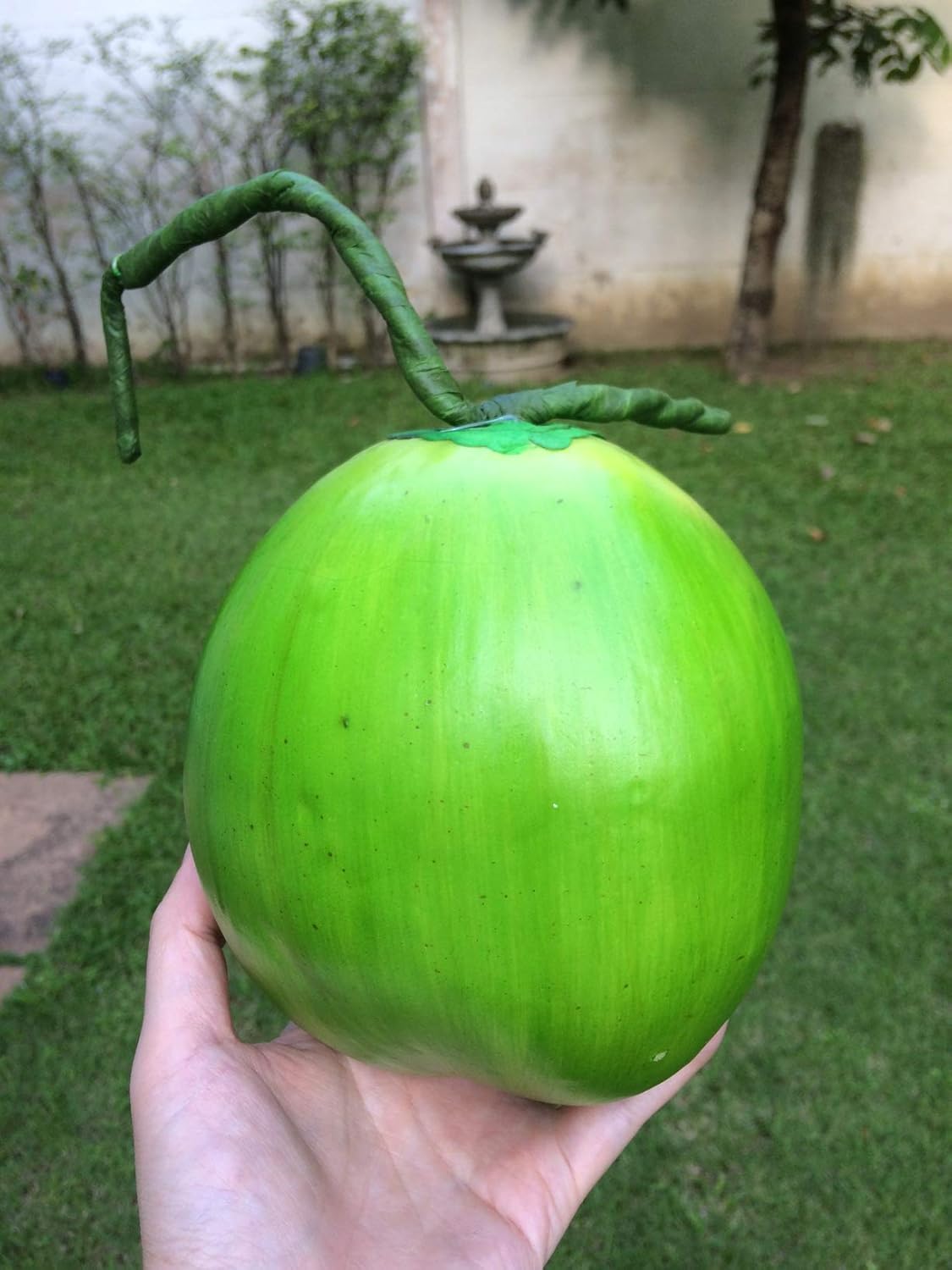 SAWADEE Artificial Coconut Fake Fruit for Home Decor or Display