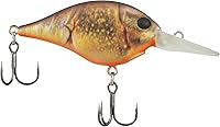 Vista 45 de Berkley Señuelo Duro de Pesca Dime