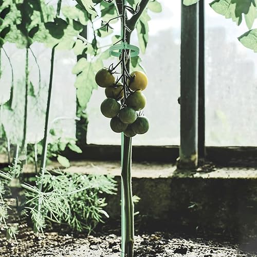 Miniatura 4 de Estacas de soporte para plantas de 12 pulgadas, con anillo de retención ajustable, estacas de soporte para plantas de interior y exterior, flores,