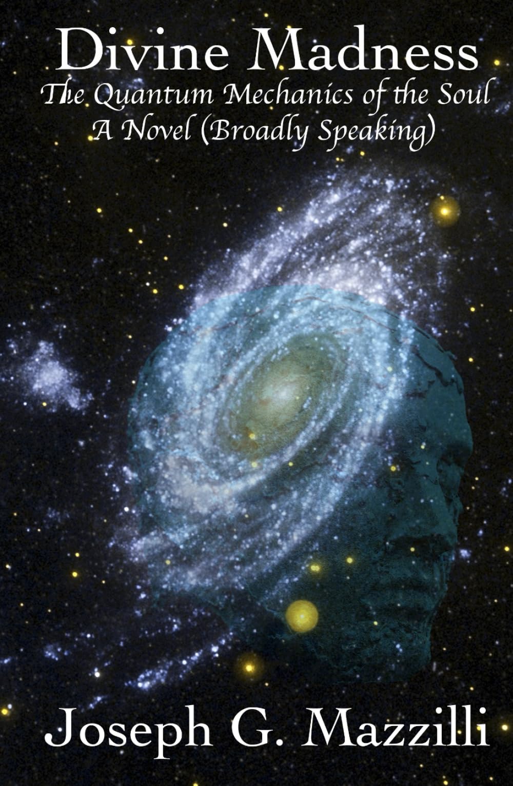 Divine Madness: The Quantum Mechanics of the Soul...A Novel (Broadly Speaking)