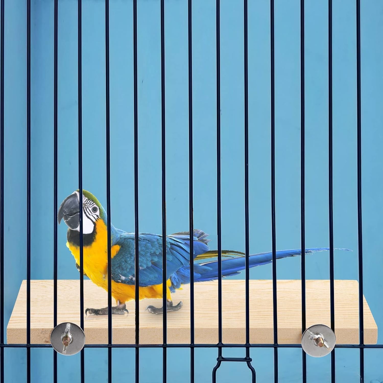 Amazon | MUYYIKA 鳥 止まり木 止まり台 木製 コーナー インコ