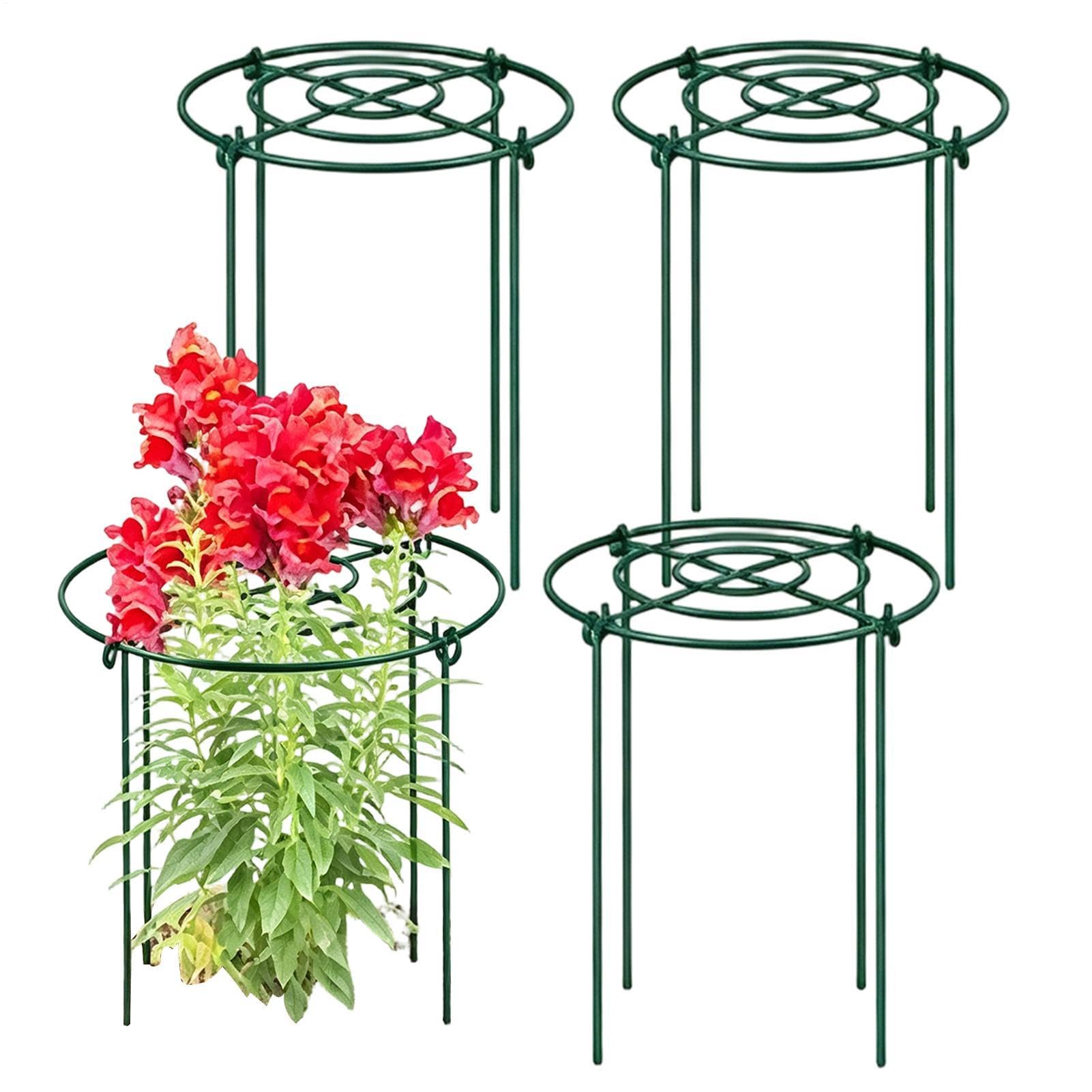 Anneau de pivoine en métal x4 pour tuteurs de plantes et fleurs de jardin
