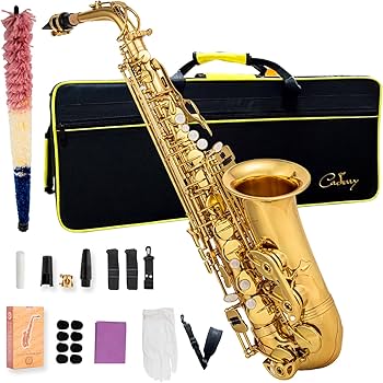 Amazon.com: Cadway Alto Saxophone Eb beginner Saxophone includes