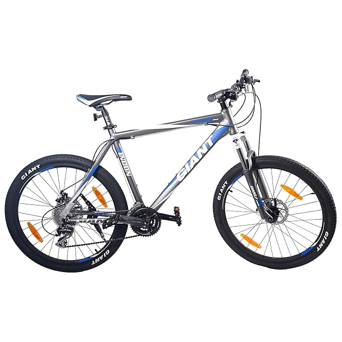 Buy Giant Rincon Disc Hi End Bicycle 