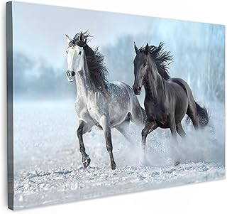 MuchoWow© Impression sur Toile Decoration Murale Peinture 90x60 cm Tableaux Decoratifs Muraux Déco Chambre Tableau Salon Chevaux - Hiver - Animaux - Nature - Neige