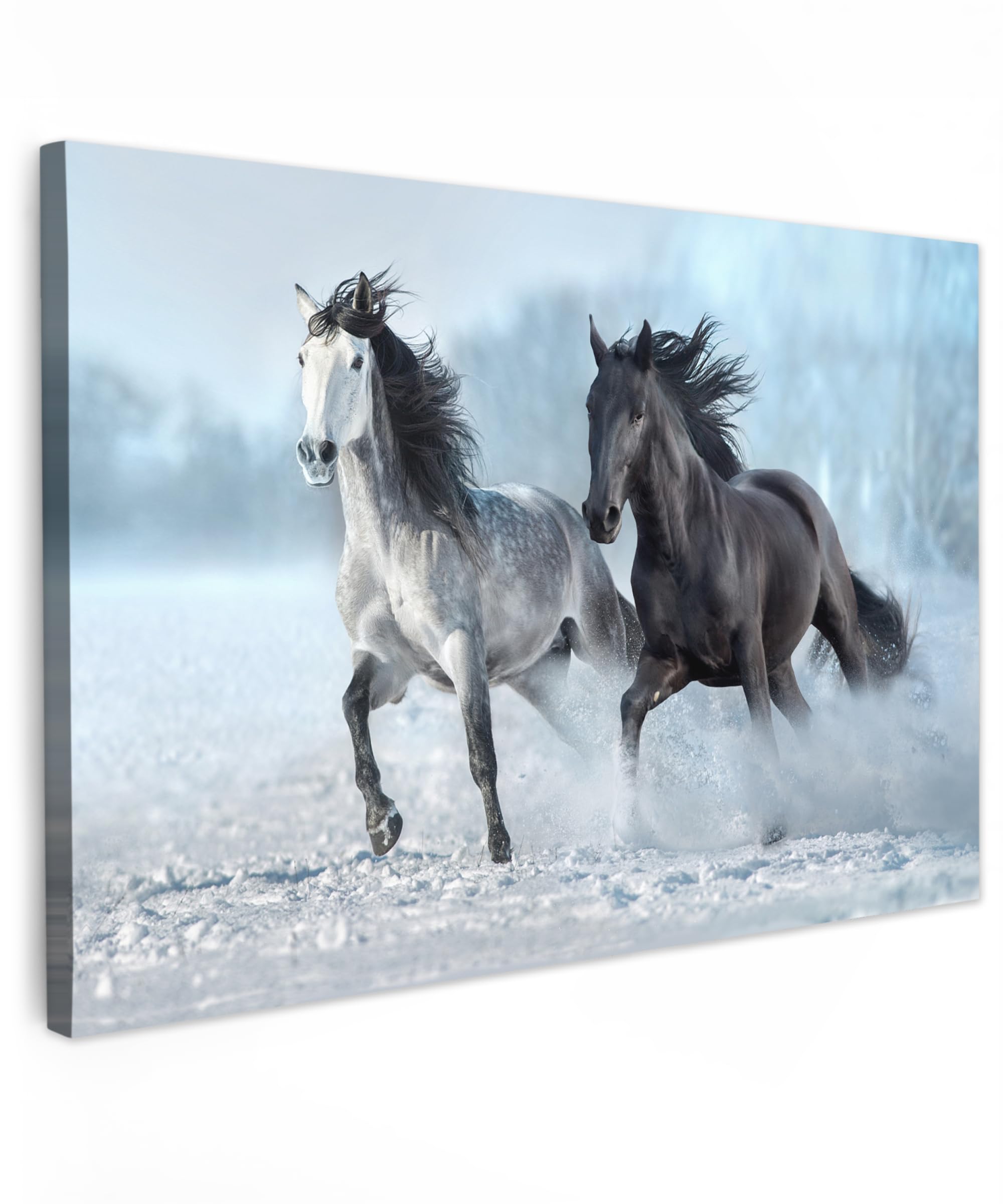 MuchoWow© Cuadros Decoracion Salon Modernos 120x80 cm Dormitorios Cuadro Decorativos de Salon Lienzos Decorativo Decoración Modernos Cabecero Cama Caballos - Invierno - Animales - Naturaleza