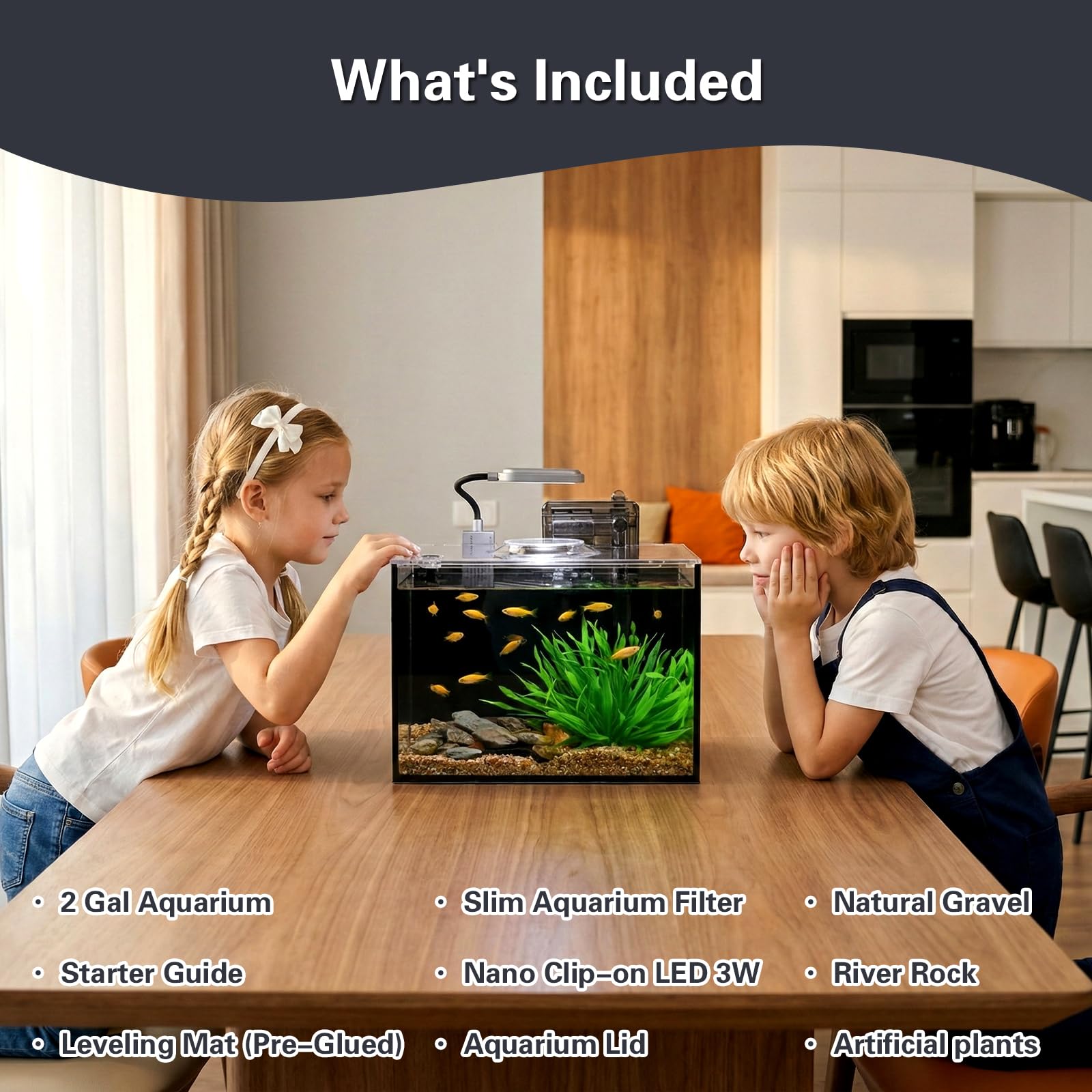 Aquarium de bureau sans bord ultra-transparent (noir, 7,7 litres (kit complet)