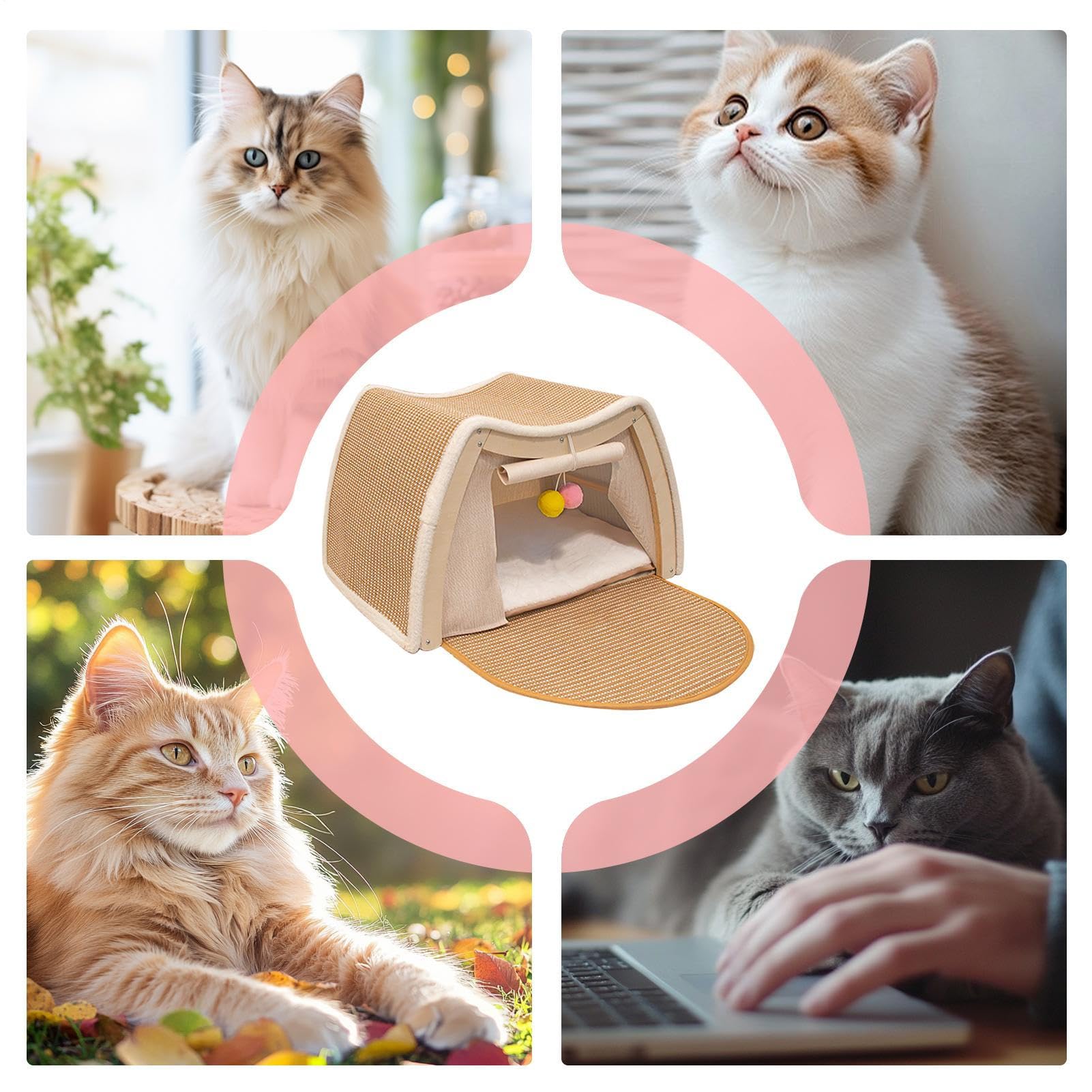 Casa para Gatos Casa para Gatitos con Rascador de Sisal | Tienda para Gatitos en Interior del Hogar Dormitorio Habitación de Mascotas Suelo Invierno