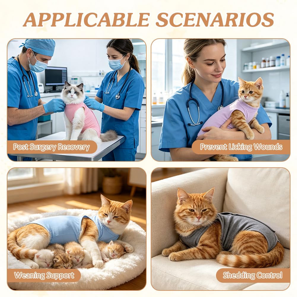 OFFCUP Combinaison de Récupération, 2 PCS Body Chat Post Operatoire, Gilet de Récupération de Chat Femelle Male, Protection Contre Le Léchage Convient Plaies Abdominales ou Maladies de Peau, Violet/S